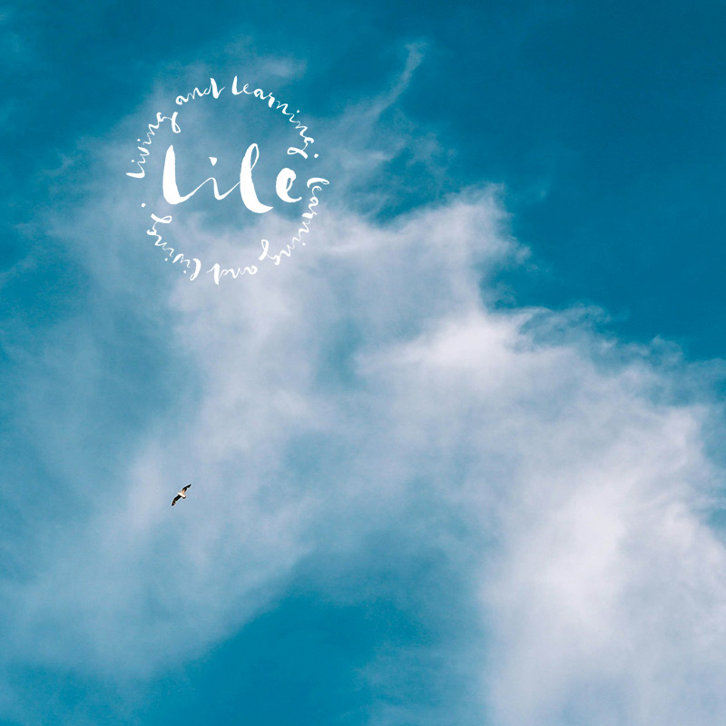 Eine Möwe fliegt in einem mit Schleierwolken durchzogenen Himmel. Auch das Vereinslogo ist im Bild.